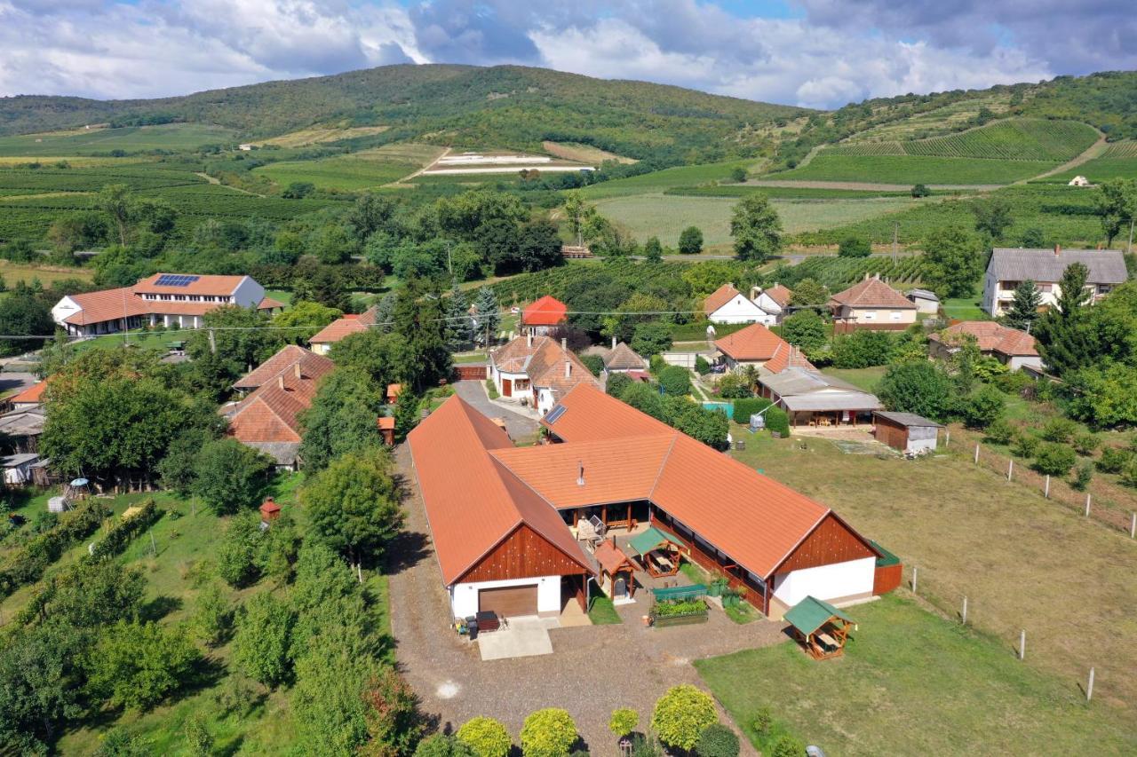 Nyakiglab Villa Szegi Exterior foto